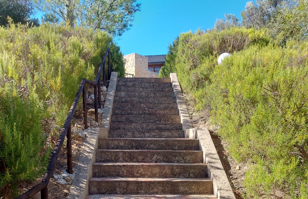 Steintreppe mit Geländer, umgeben von grünen Büschen, die zu einem Gebäude unter klarem, blauem Himmel führt.